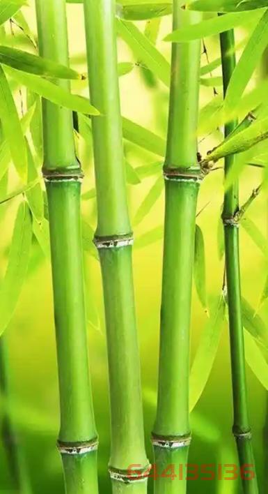 浮雕竹节怎么做最快？你试过精雕软件这套新方法了吗？